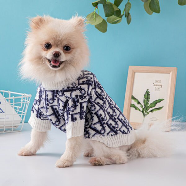 Chewing Dogior Monogram Knit Sweater - Image 15