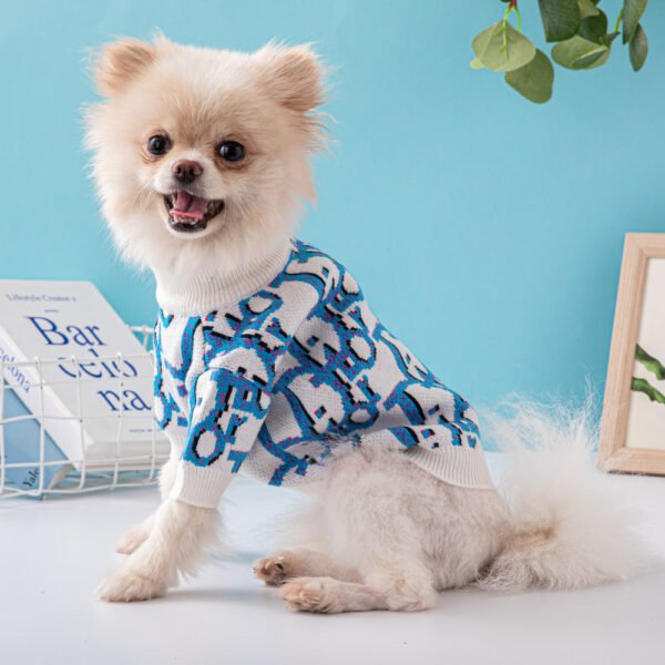Chewing Dogior Monogram Knit Sweater - Image 19