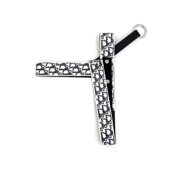Chewing Dogior Monogram Accessories Set - Image 7