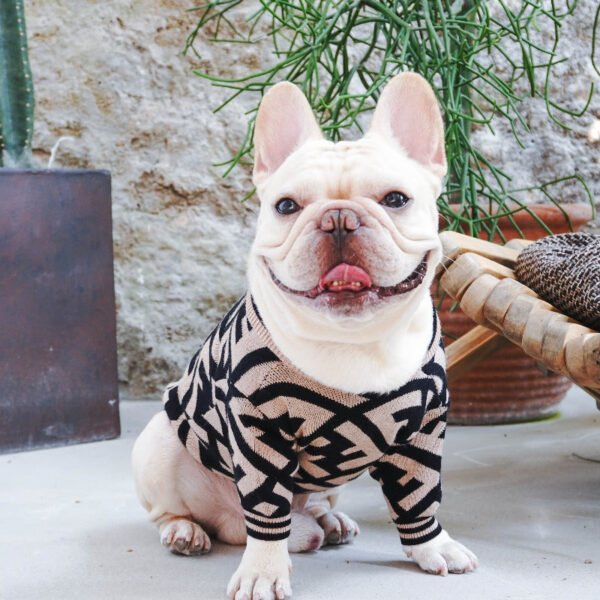 Pendi Big F Sweater - Image 2
