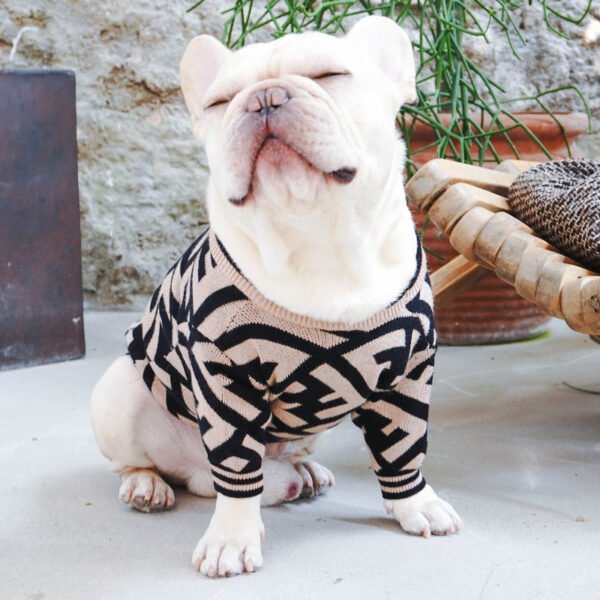 Pendi Big F Sweater - Image 4