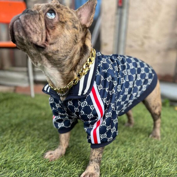 Luxury Edition Pawcci Jacket - Image 5