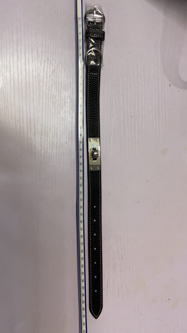 Furmes Kelly Leather Collar & Leash - Image 9