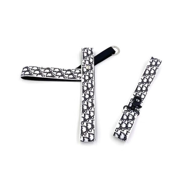 Chewing Dogior Monogram Accessories Set - Image 4