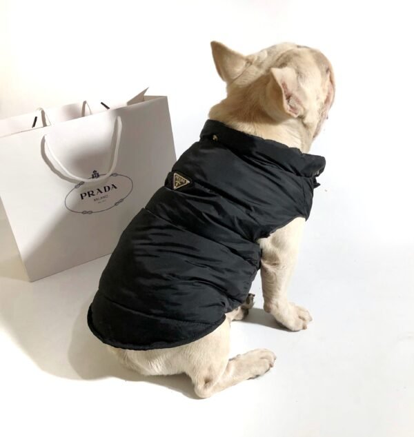 Pawda Puffer Coat with Hood - Image 9