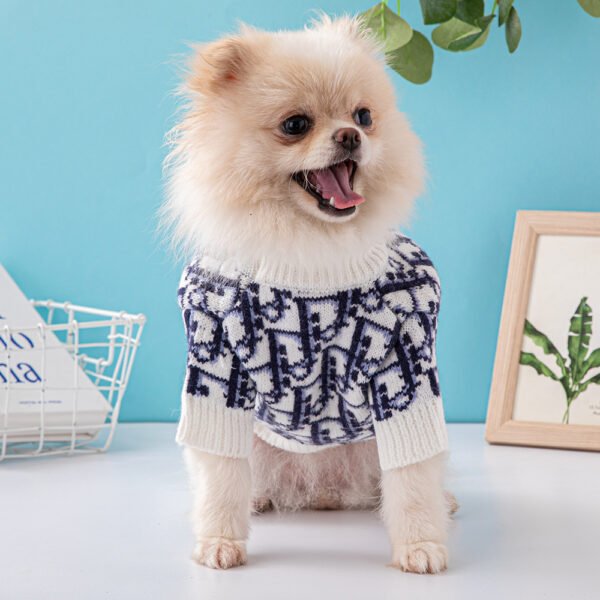 Chewing Dogior Monogram Knit Sweater - Image 17