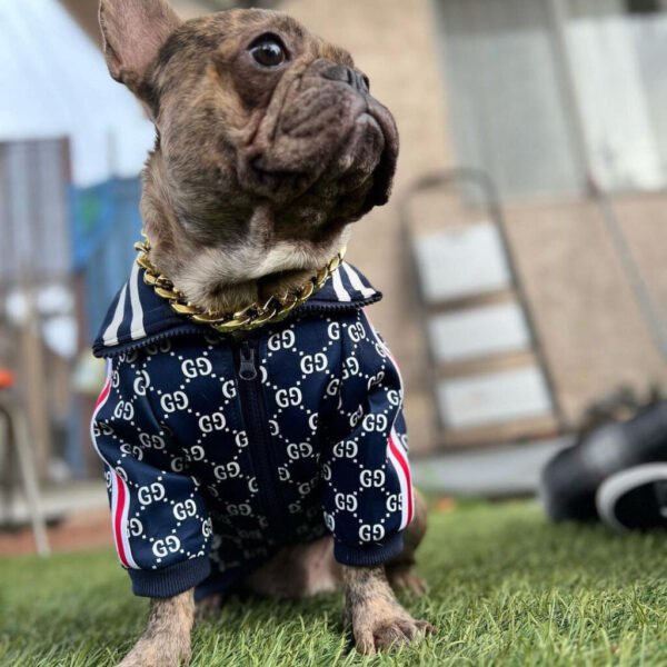 Luxury Edition Pawcci Jacket - Image 3