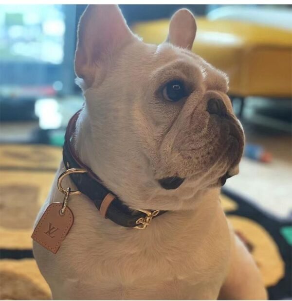 Lo dog Vuitton Pet Collar - Image 9