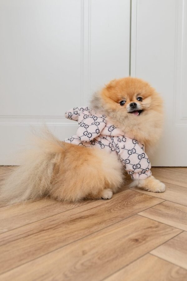 PUCCINO JACKET EARS - Image 11