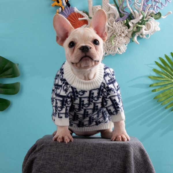 Chewing Dogior Monogram Knit Sweater - Image 26