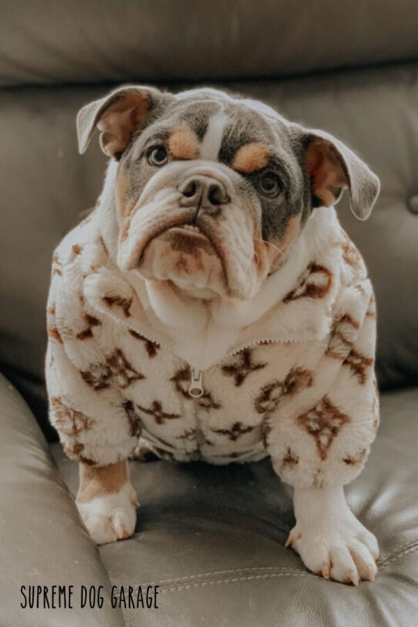 LOUIS WARM VEST - Image 6