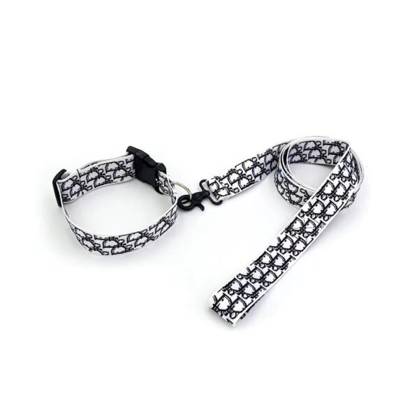 Chewing Dogior Monogram Accessories Set - Image 3