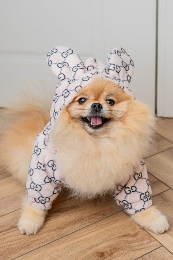 PUCCINO JACKET EARS - Image 7