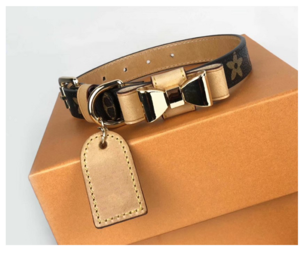 BOW AMELIA ONLY COLLAR - Image 8