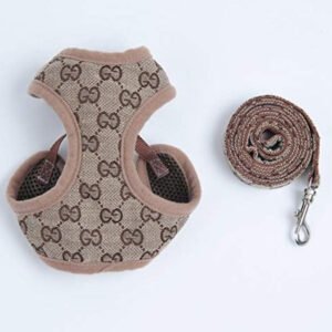COCI HARNESS & LEASH SET