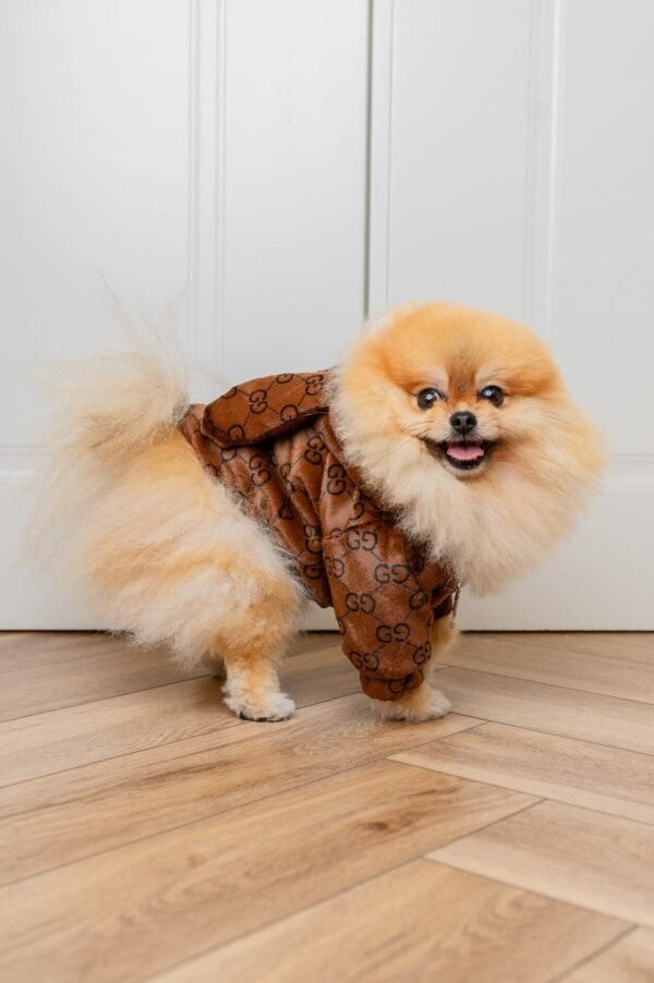 PUCCINO JACKET EARS - Image 13