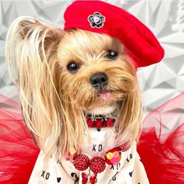 Chewnel Camellia Beret Hat - Image 6