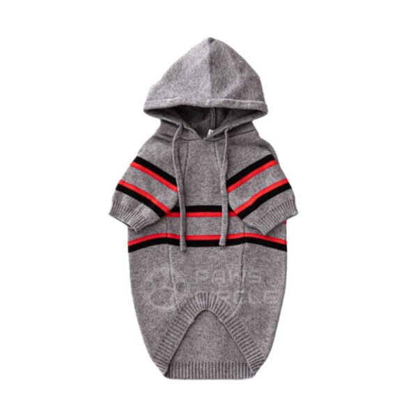 Chewing Dogior Star Hoodie - Image 3