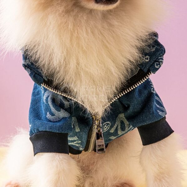 Chewnel Denim Hoodie - Image 7