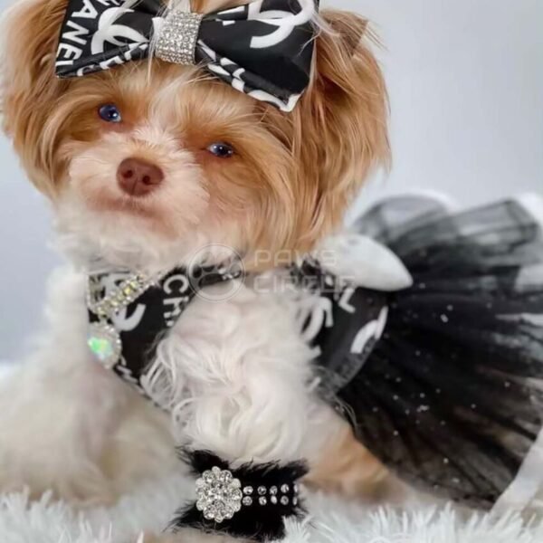 Chewnel Starry Dress - Image 5