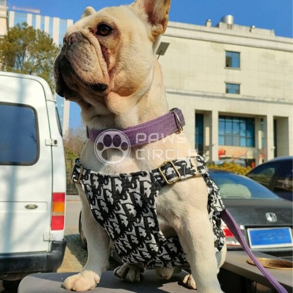 Chewing Dogior Monogram Workwear Vest - Image 3