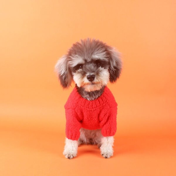 Chewnel Logo Knit Sweater - Image 9