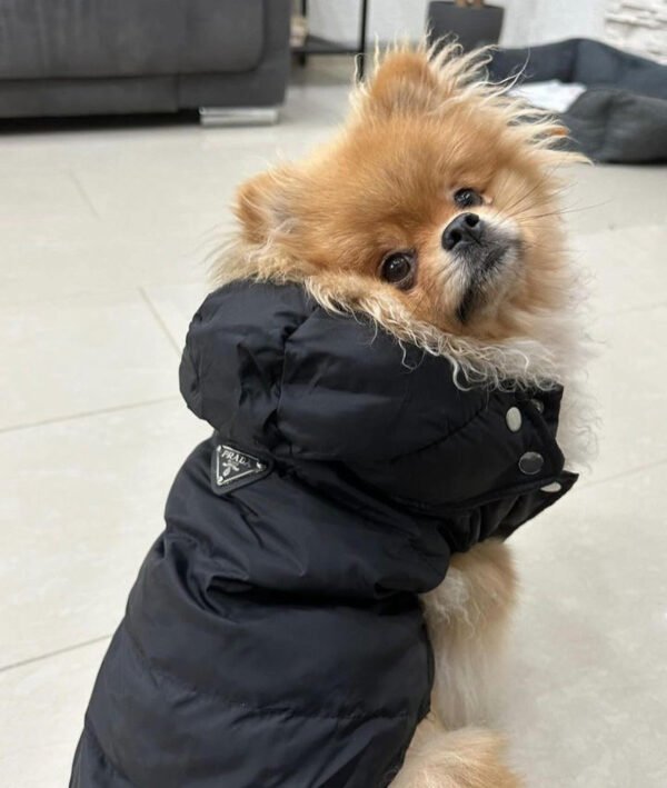 LUXURY PRINA VEST - Image 3