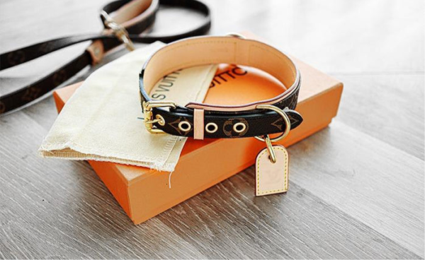 Lo dog Vuitton Pet Collar - Image 4