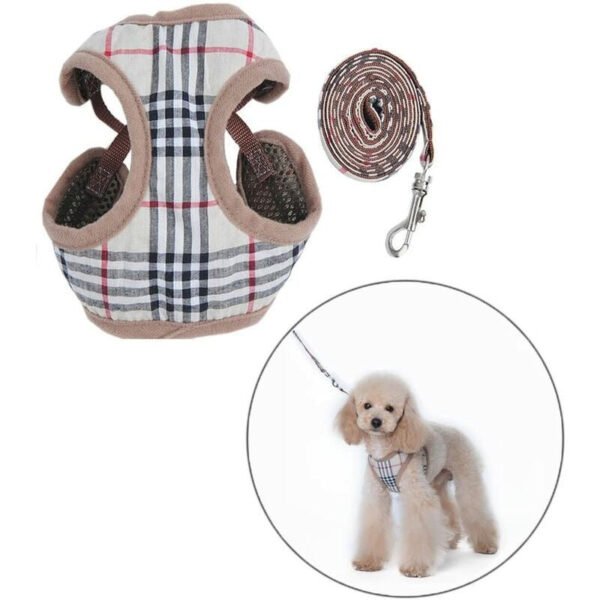 ZUMA HARNESS & LEASH SET - Image 4