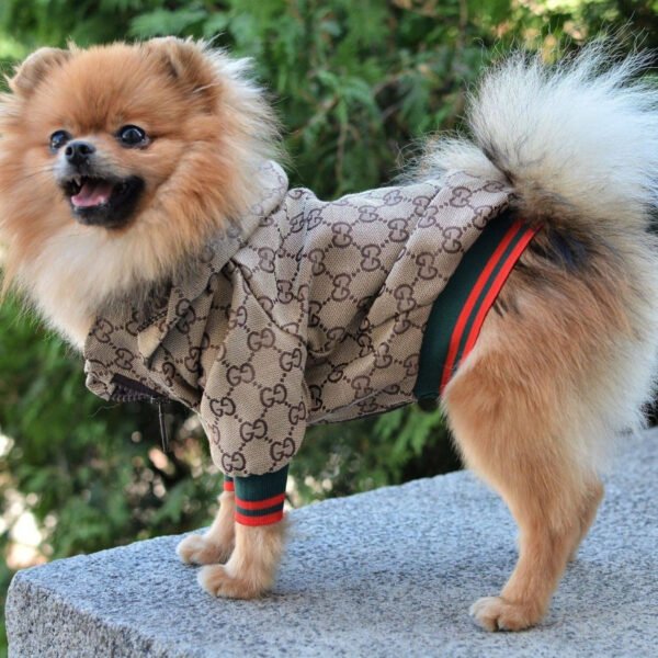 Zoi Designer Dog Jacket - Image 7