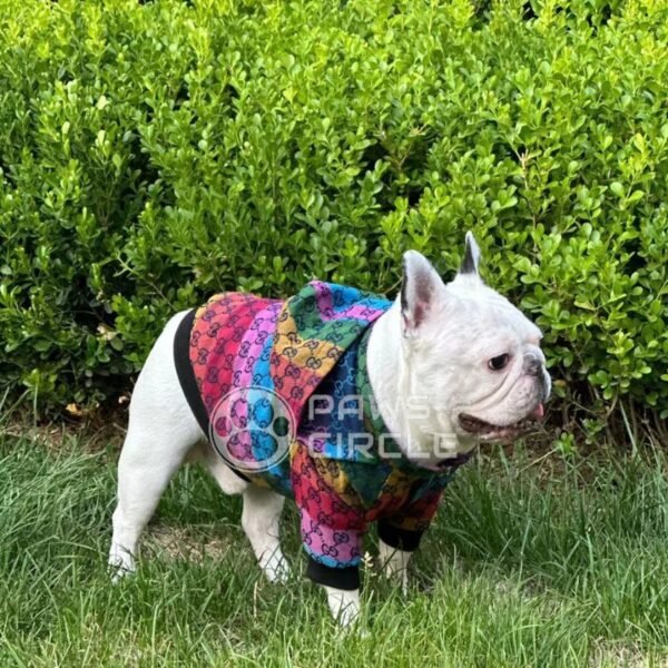 Goochi Rainbow Monogram Jacket - Image 6
