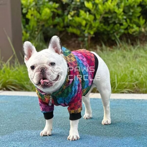 Goochi Rainbow Monogram Jacket - Image 5