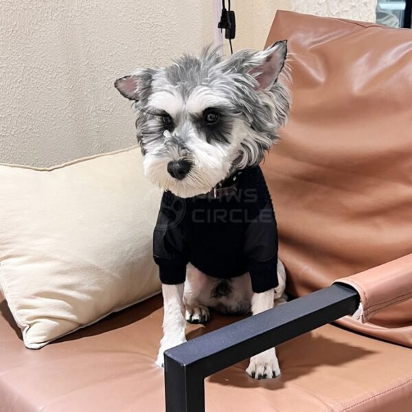 Pawda Pocket Military Sweater - Image 4