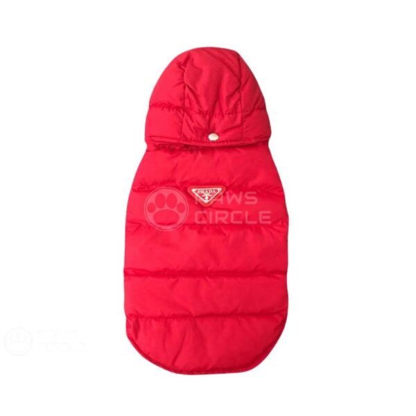 Pawda Puffer Coat with Hood - Image 4