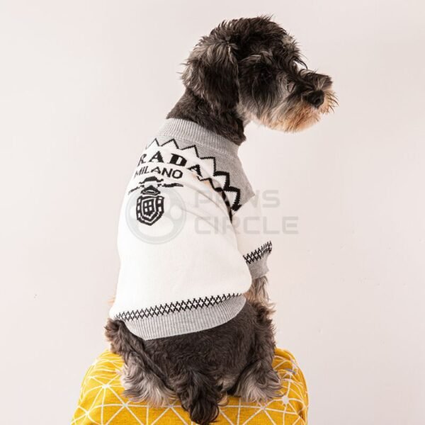 Pawda Logo Sweater - Image 4