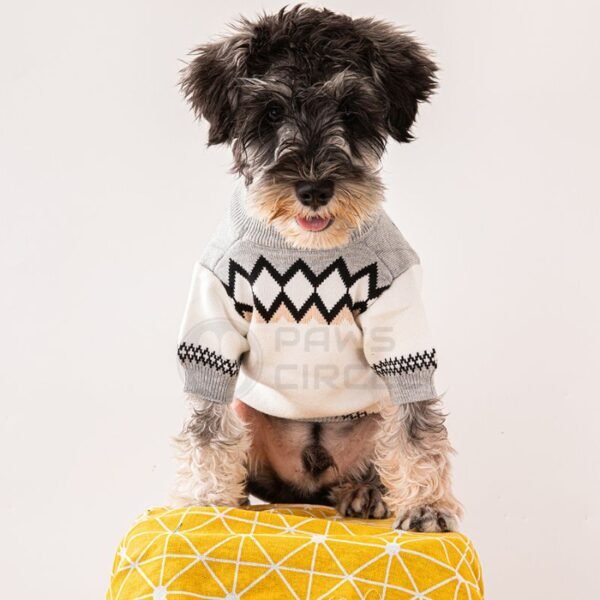 Pawda Logo Sweater - Image 5