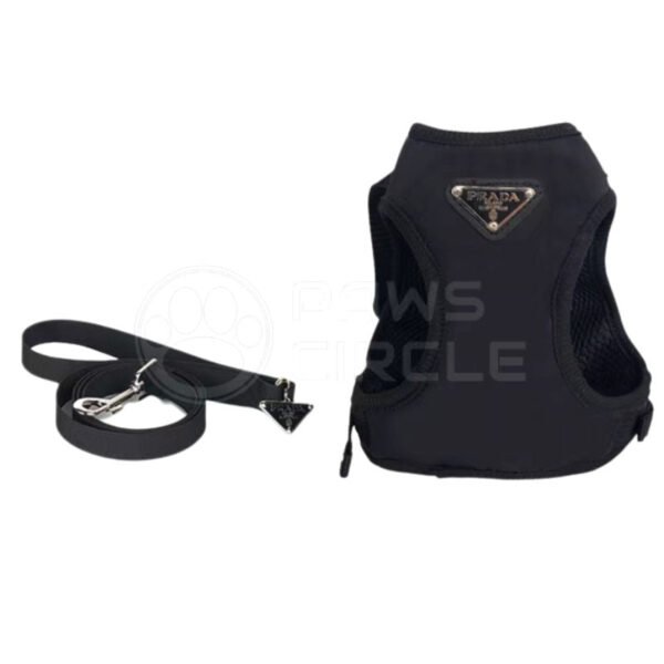 Pawda Nylon Harness & Leash