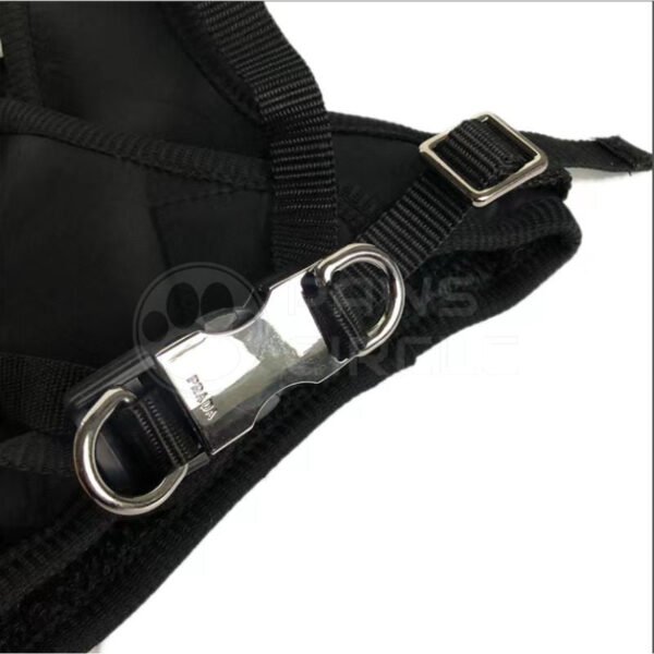 Pawda Nylon Harness & Leash - Image 6