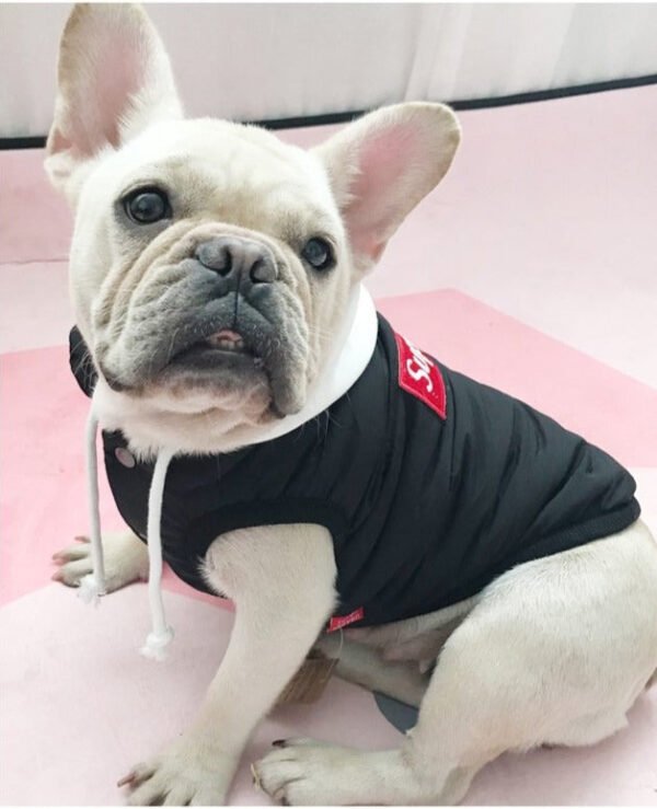Pupreme Box Logo Sleeveless Hooded Down Jacket - Image 6
