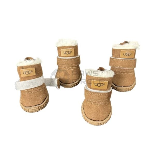 Pet Boots