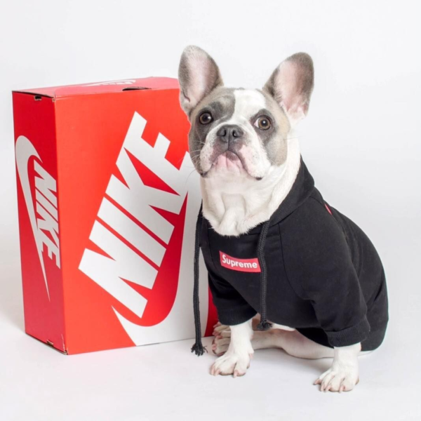 Pupreme Box Logo Hoodie - Image 9