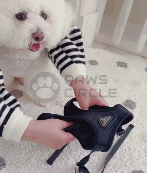 Pawda Nylon Harness & Leash - Image 7