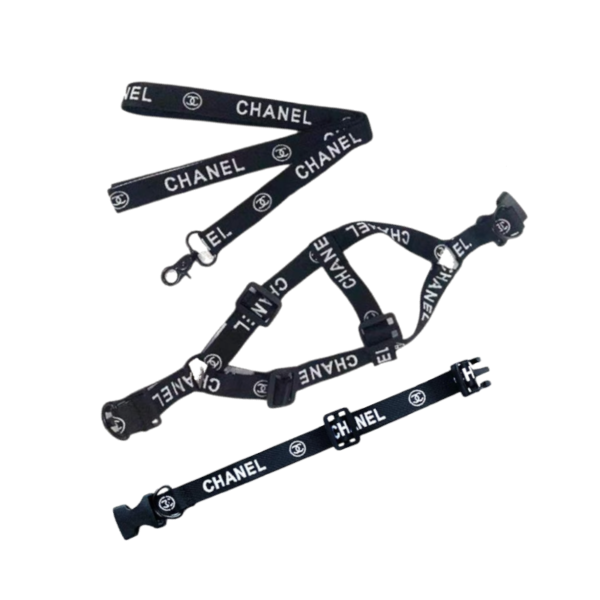 Chewnel Harness + Collar + Leash Set