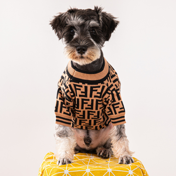 Black Details Designer Dog Sweater - Image 4
