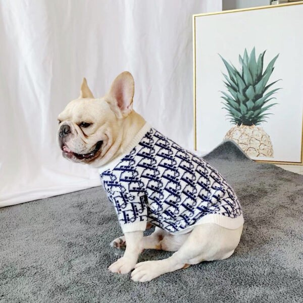 Chewing Dogior Monogram Knit Sweater - Image 7