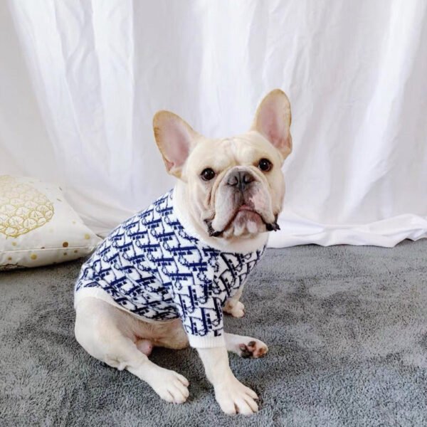 Chewing Dogior Monogram Knit Sweater - Image 5