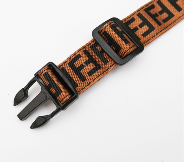 Pendi Monogram Leash & Collar - Image 4