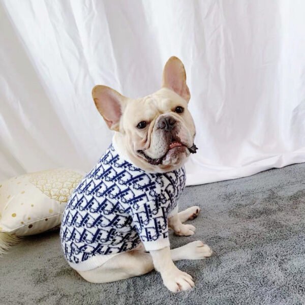 Chewing Dogior Monogram Knit Sweater - Image 4