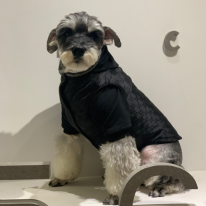 Pawcci Black Edition Designer Dog Vest