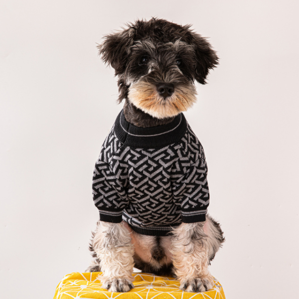 Pawsace Premium Designer Dog Sweater - Image 11